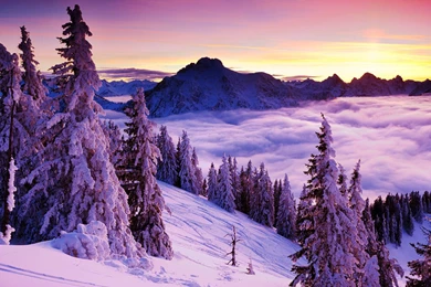 Winter Snow Wallpapers