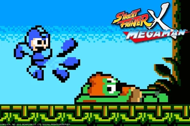 Video Games Street Fighter Capcom Pixel Art Rockman Blanka Megaman ...