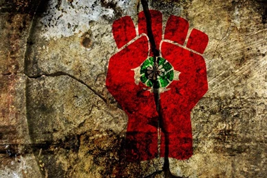 Cracked Gonzo By Mattivere On DeviantArt