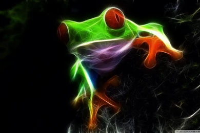 Download Frog 2 Wallpapers 1920x1080