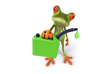 Wallpapers Frogs 3D Graphics Animals Image