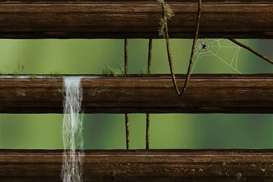 DeviantArt: More Like Iphone5 Jungle Shelf Wallpapers By Bastian1967