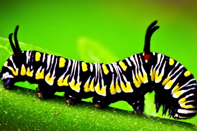 Z Wallpapers New Ipad 3 And 4 Apple Awesome 109   2048 X 2048   New ...