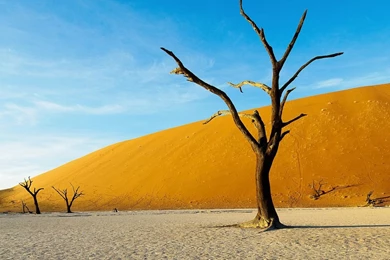 Free 2048 X 2048 iPad 3 Retina Wallpapers