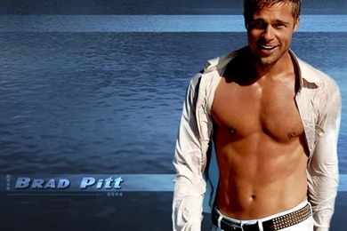 Hynky Movie Star Brad Pitt   Free Computer Desktop Wallpapers