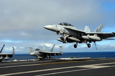 Mcdonnell_douglas_f18_super_hornet.jpg