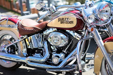 Harley Davidson Motorcycle Wallpapers :: HD Wallpapers