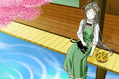 Wallpapers Ah! My Goddess Anime Image