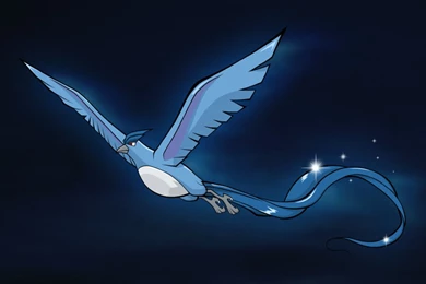 Articuno Wallpapers   Wallpapers Cave