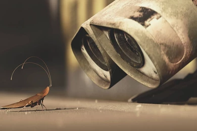 70 Wall·E HD Wallpapers