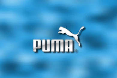 Puma Wallpapers By Tinhoo On DeviantArt