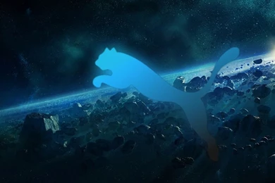 Blue Puma Wallpapers High Resolution 9573