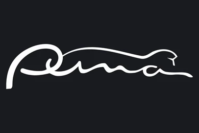 Wallpapers Puma Shoes