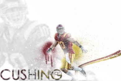 Free Wallpapers   Brian Cushing Wallpapers