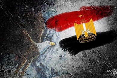 Revolution  Egypt   Flag By Mostafaelshoky On DeviantArt