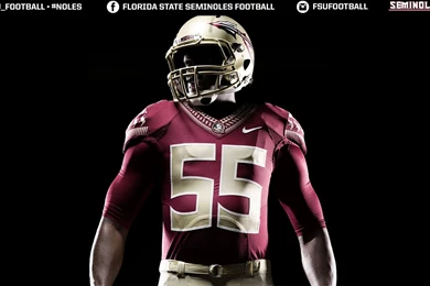 SEMINOLES.COM DESKTOP WALLPAPERS   Florida State Seminoles ...