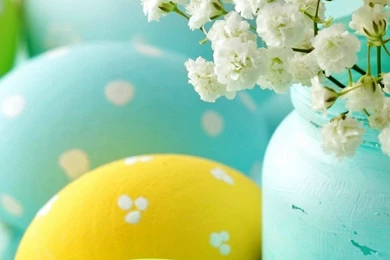 1080x1920 Sunshine Sweet Flowers Winter Easter Wallpapers HD