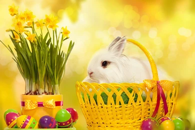 Cute Easter Wallpapers HD for 2015
