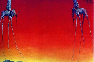 Salvador Dali Wallpapers   Wallpapers Cave