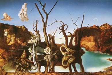 Dali Wallpapers Widescreen   Pleasantwalls.com