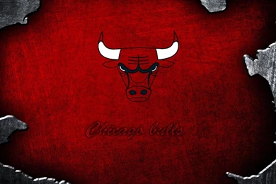 Chicago Bulls HD Wallpapers Widescreen