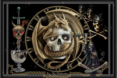 Free Skull Wallpapers Downloads   HD Wallpapers Lovely