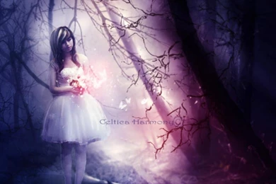 A WALK TO DREAM WALLPAPER   (