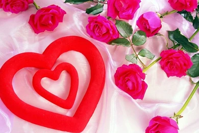 Red heart with pink roses wallpapers