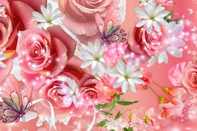 Pink Rose HD Wallpapers,