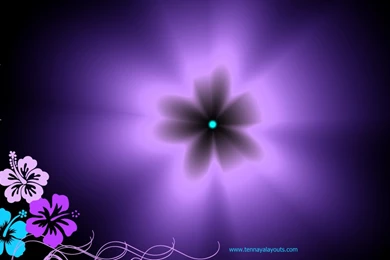 Hibiscus Flower Wallpapers   Wallpapers Cave