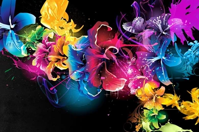 Multicolored Hibiscus Wallpapers   Digital Art Wallpapers