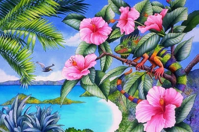 Iguana & Pink Hibiscus Wallpapers