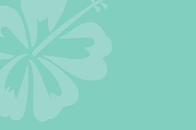 Hibiscus Wallpapers In Pantone Spring 2015 Colors ← Bionic Style™