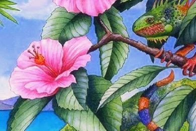 640x1136 Iguana & Pink Hibiscus Iphone 5 Wallpapers