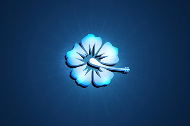 Hibiscus Wallpapers   178366