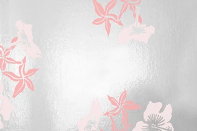 Hibiscus Wallpapers   Pink And Silver