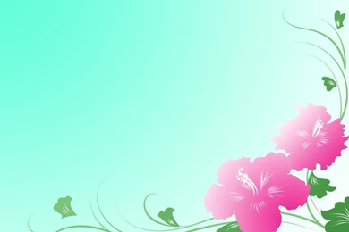 Hibiscus Backgrounds   Wallpapers Cave