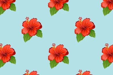 Hibiscus Flower Wallpaper｜Free Desktop Wallpaper Backgrounds ...