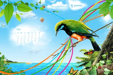 Birds Wallpapers Desktop   1422125