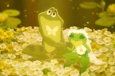 The Princess And The Frog Wallpapers   Cartoon Wallpapers