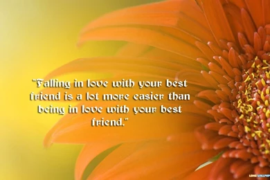 Love Wallpapers For Mobile Free Download   Wallpapers HD Fine