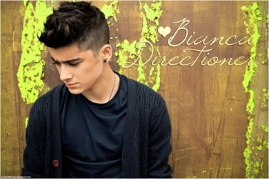 Fonds D'écran Zayn Malik : Tous Les Wallpapers Zayn Malik