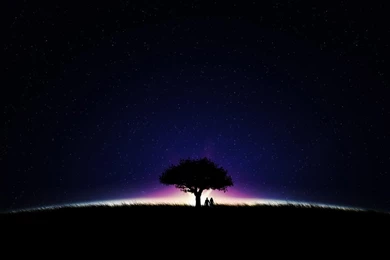 Desktop Nexus Wallpapers   HD Wallpapers Lovely