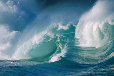 Big Turtle Waves Wallpapers   ImgMob