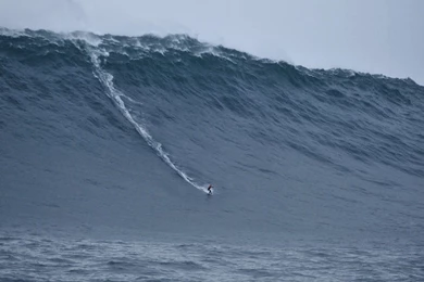 Catching A Big One : Pics