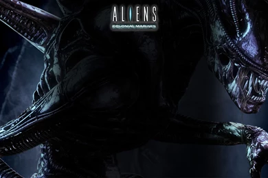 Aliens Movie Wallpaper HD.jpg