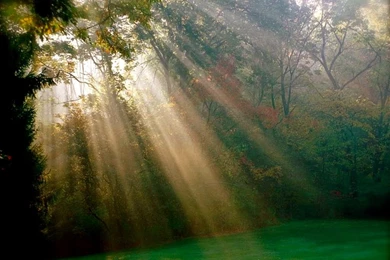 Scenery sunbeams hunting valley.jpg