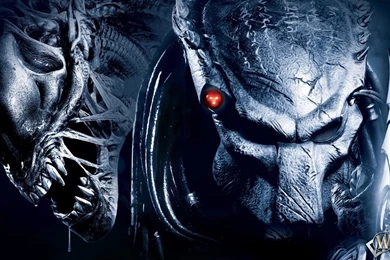 20 AVP: Alien Vs. Predator HD Wallpapers