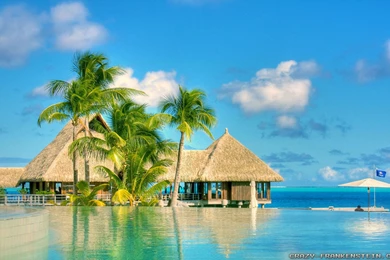 Beautiful Summer Screensavers Wallpapers