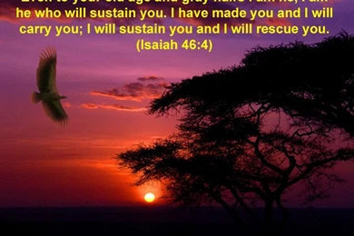 HEAVENLY INCLINED...: March 2012